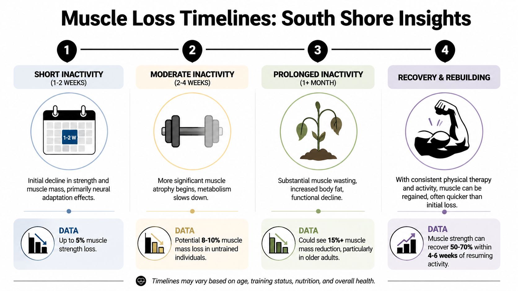 A timeline infographic explaining muscle loss phases from short inactivity to recovery and rebuilding muscle strength.
