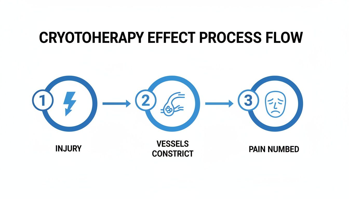 A process flow diagram illustrating the cryotherapy effect: injury, vessels constrict, and pain numbed.